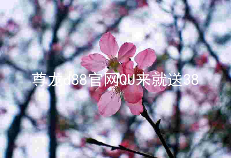 尊龙d88官网QU来就送38